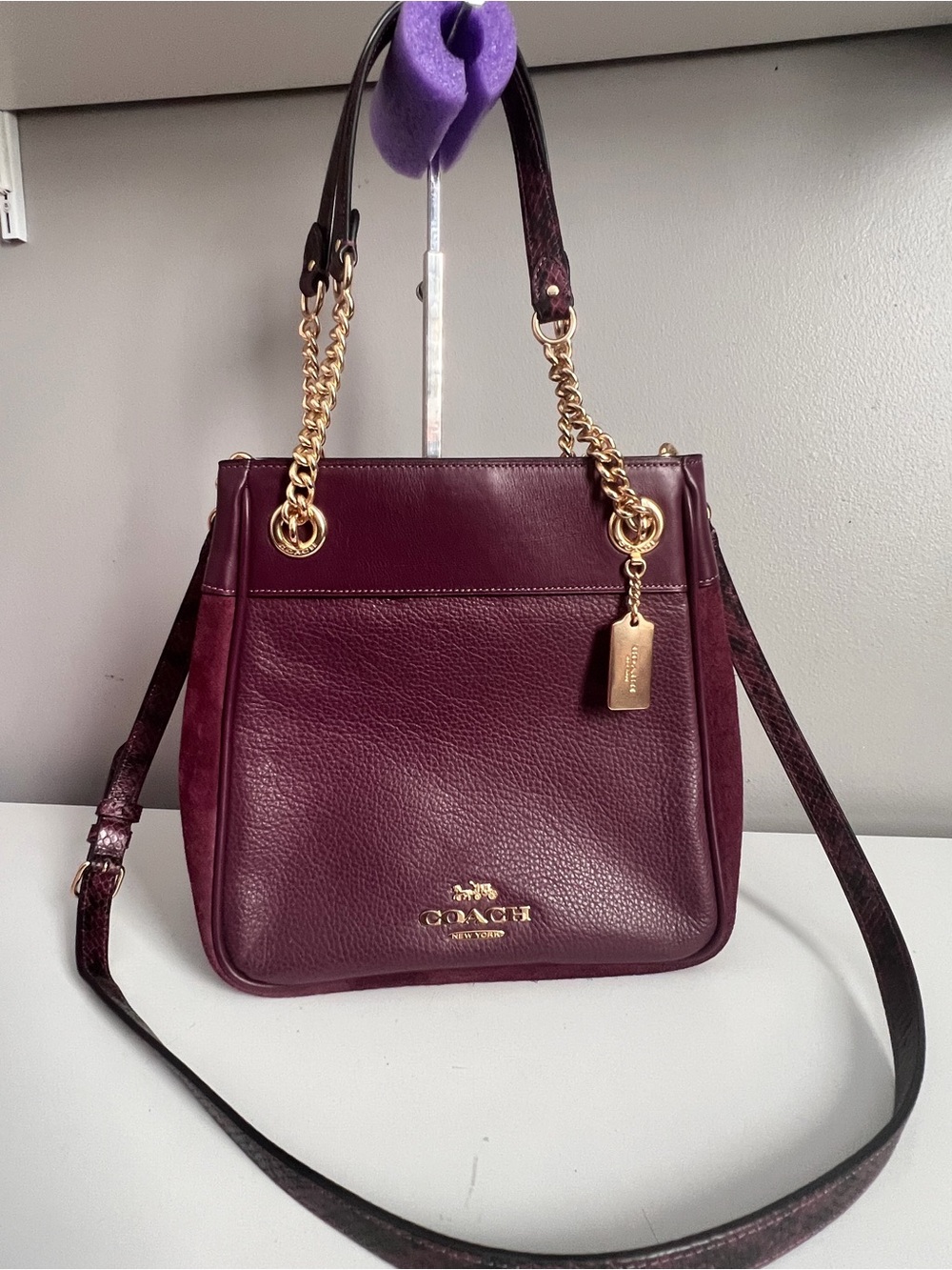 Coach Cammie Chain Bucket Bag